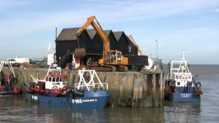 Cockle-fishing: Cardium Shellfish, Whitstable