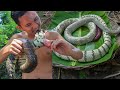 Wow! Catching Big Snake in Tree Hole Cooking Eating Delicious