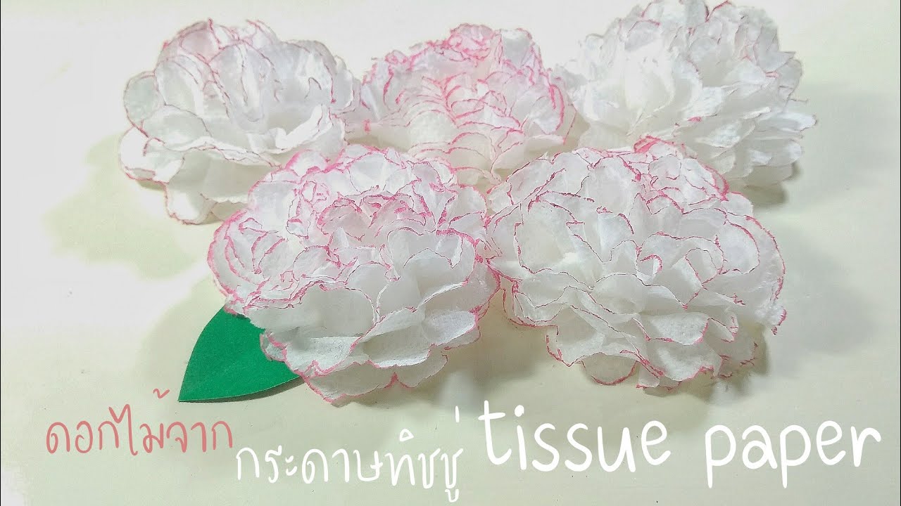 วิธีทำดอกไม้จากกระดาษทิชชู่ ep.2 | tissue paper flowers 🌸