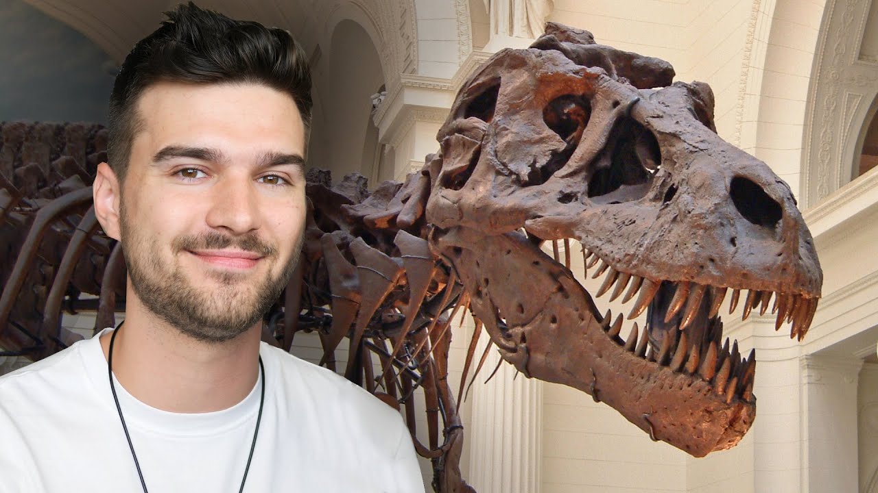 A legérdekesebb DINOSZAURUSZ csontvázak ! Márkopédia #2