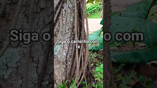 siga com fé