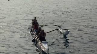 FWild Hit Drill 5/31