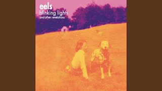 Video thumbnail of "Eels - Things the Grandchildren Should Know"