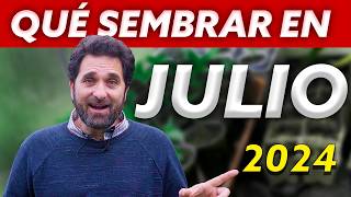 Calendario de Siembra 2024: Que sembrar en JULIO en el Huerto de Verano y de Invierno