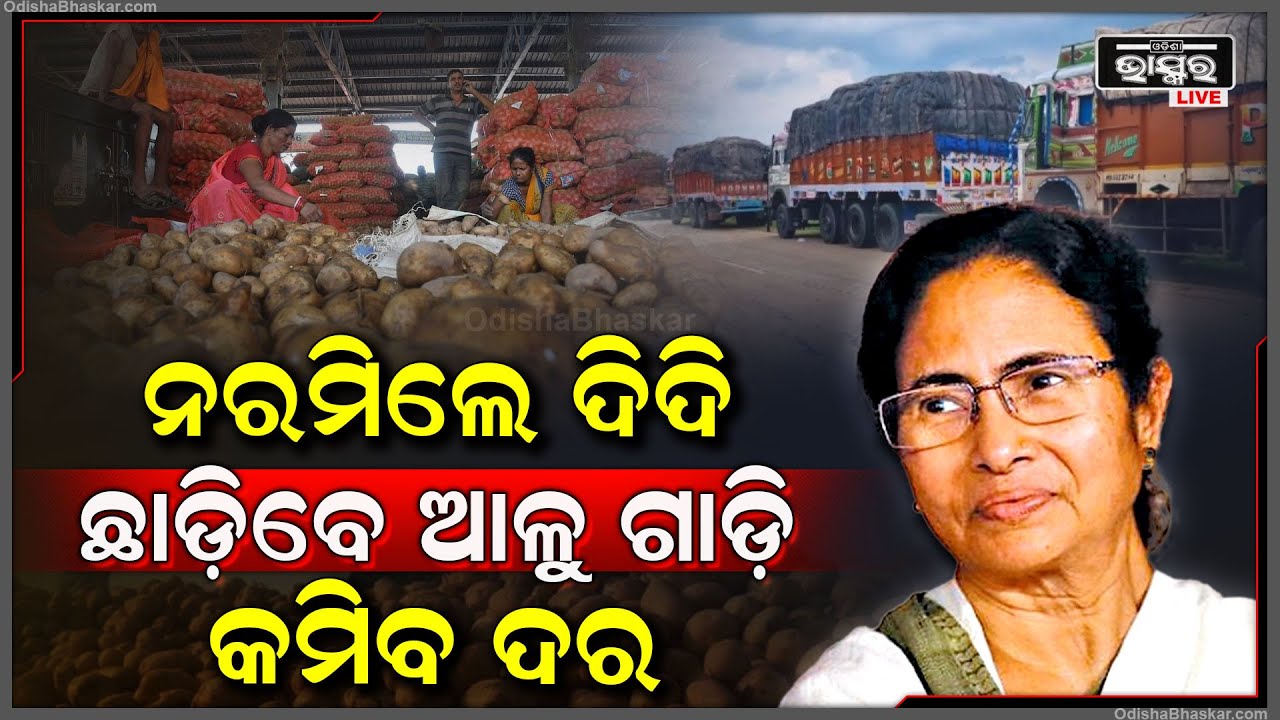 ନରମିଲେ ମମତା ଦିଦି ,ଏବେ ଆଉ ରହିବନି ଚିନ୍ତା ଓଡ଼ିଶାରେ କମିଯିବ ଆଳୁ ଦର  Potato Price To Decrease In Odisha