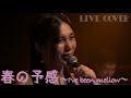 『春の予感〜I&#39;ve been mellow〜』南沙織 (尾崎亜美) フルバンドカバー