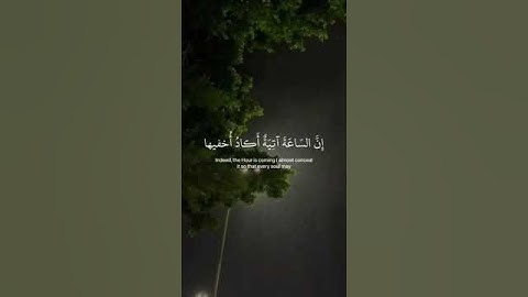 ﴿ وأنا اخترتك فأستمع لما يوحى ﴾ سوره طه الأية 13، شريف مصطفى