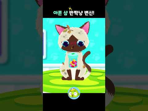 샴고양이를 구해줘! 동물병원 역할놀이 | 깨비키즈 인기 애니메이션