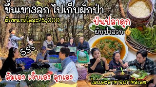 EP.499 It’s fun to pick wild vegetables on the mountain. Boiled vegetables and fish chili paste menu