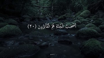 القارئ نبيل العوضي -  يا أيها الذين آمنوا اتقوا الله