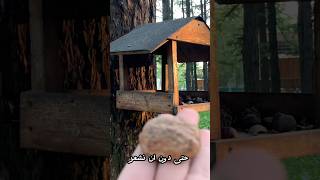 كلما كبرنا فهمنا هذا . عن الحياة أتكلم slow living thoughts #kojoland #يوتيوب #cozy #السوشيال_ميديا