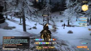 Final Fantasy XIV: A Realm Reborn: Fate Behemoth The Invisible Ninja