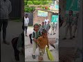 Admission Open For 2083 #shortvideo