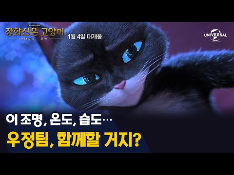 [장화신은 고양이: 끝내주는 모험] 묘생 찾기 프로젝트 영상