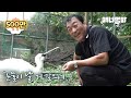 키우던 저어새와 헤어지고.. 두 달 만에 만나 이름을 불렀더니ㅣWhat Happens Upon Calling A Bird's Name After Reunited