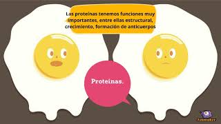 Macro y micronutrientes.