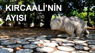 Kircaali̇ni̇n Ayisi