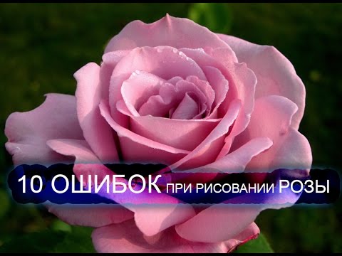 Рисование розы. 10 основных ошибок