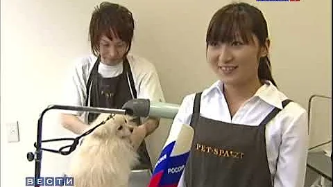 Домашние животные в Японии / Pet in Japan / 日本でのペット