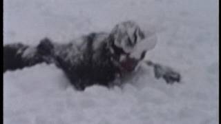 Ruby Mountain Heliski 3/4/1990