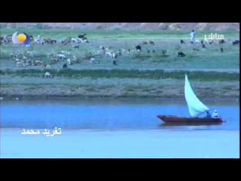 محمد احمد عوض حبيبى وين انت تغريد محمد