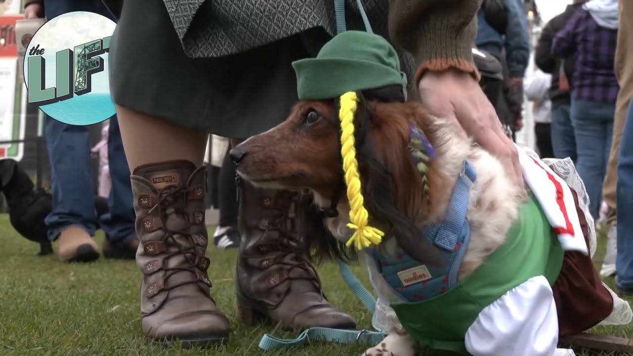 Dachshund Derby highlight of Duluth Oktoberfest | The Lift on WDIO