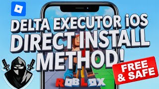 Direct Install Delta Executor Mobile NEW Update on iOS 2026 | BEST Roblox Executor iPhone & iPad screenshot 3