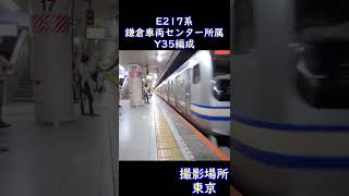 【スカ色】E217系Y35編成（鎌倉車両センター所属）東京駅到着