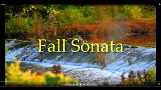Fall Sonata 2020