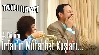 İrfanın Muhabbet Kuşları... - Tatlı Hayat 4. Bölüm