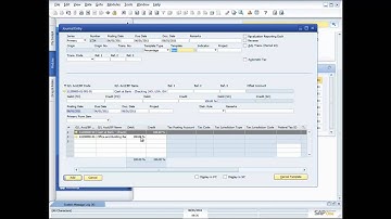 SAP Business One 8.8. - Demonstration of the Financials Functionality