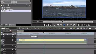 173.  Zoom Stabilization with Mercalli.