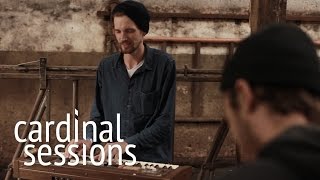 Video thumbnail of "Say Yes Dog - Stronger - CARDINAL SESSIONS (Appletree Garden Special)"