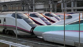 新幹線で最も短い駅間は…？ #shorts
