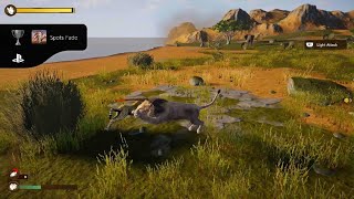 Lion Simulator RPG: Animal Battle Survival_20260315072625 screenshot 5