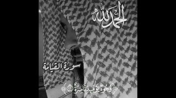 سورة القيامة بصوت رائع و مؤثر🎙 🌾🌺🌾 #القران_الكريم_في_الصباح  #اكسبلور  #تيك_توك  #لايك  #quran