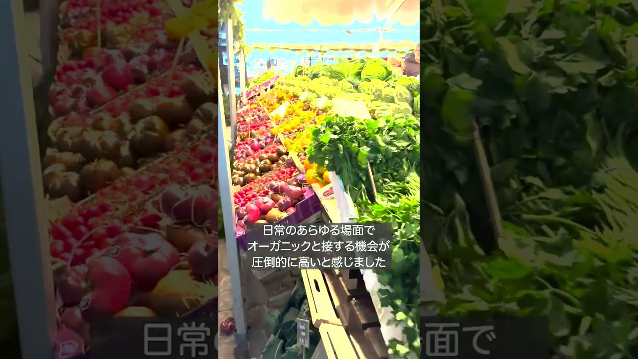 デンマークに注目！北欧で見つけた暮らしの中のオーガニック　