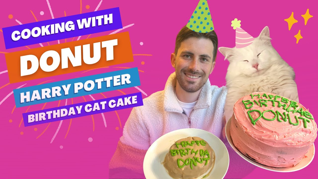 Cooking with Donut Harry Potter Birthday Cat Cake YouTube