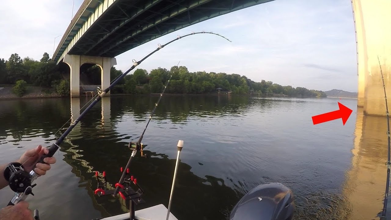Fishing Bridge Pilings For Catfish (Ft. outfittersoutdoors) YouTube