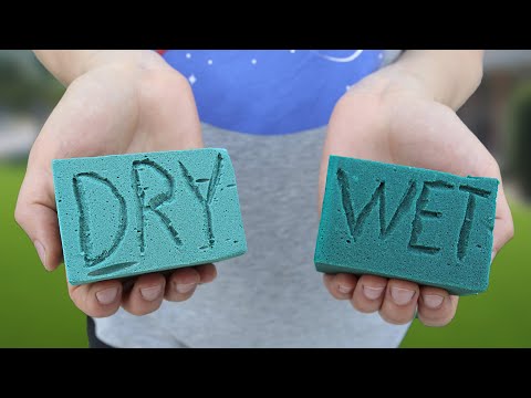Top 5 Floral Foam Experiments | Crushing Crunchy & Soft Things by Car!