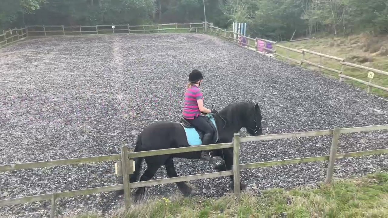 Julie Calvert and Lownthwaite Heresay riding BE 92 September