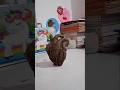 diy❤️anatomical heart with homemade soilclay #shorts #diy #shortsfeed