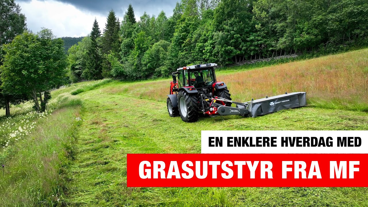 En Sauebondes syn  på MF slåmaskin og rive