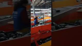 Smarter, Faster, Better Delivery