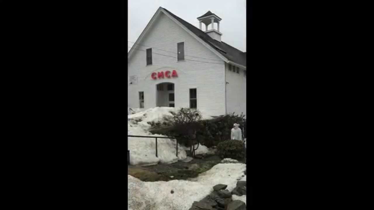 3 POLAR BEAR SIGHTING AT CMCA, ROCKPORT, MAINE YouTube