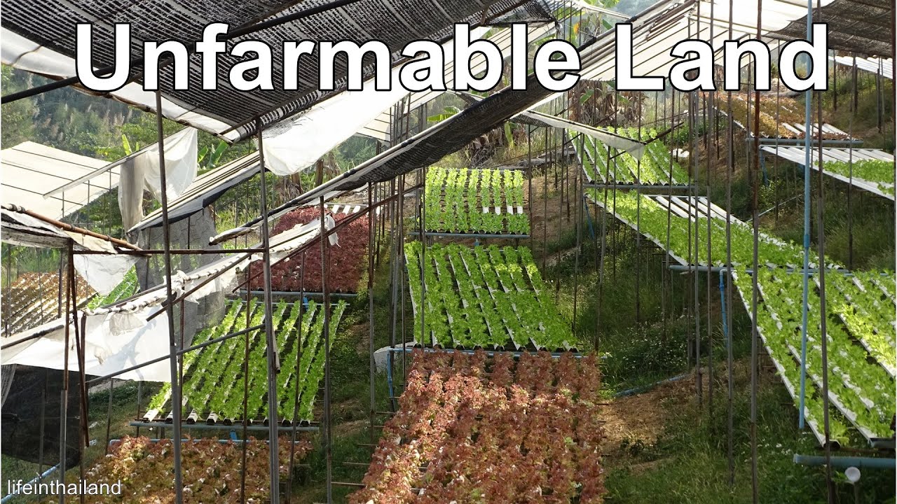 Hydroponic farm on the side of a mountain, farming unfarmable land in