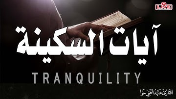 آيات السكينة 😞والإنشراح لدفع الهم والحزن والقلق بصوت هادئ دافئ 💛| القارئ عبد الغني حوا