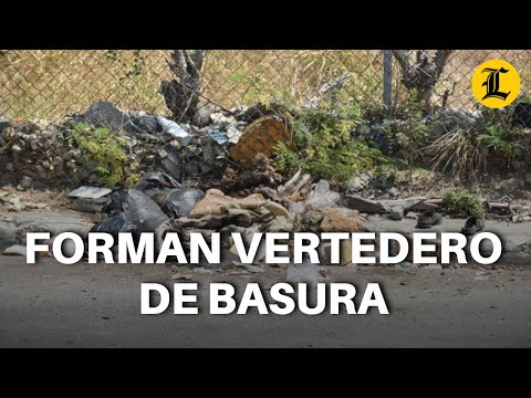 FORMAN VERTEDERO DE BASURA EN MARGINAL AUTOPISTA LAS AMÉRICAS