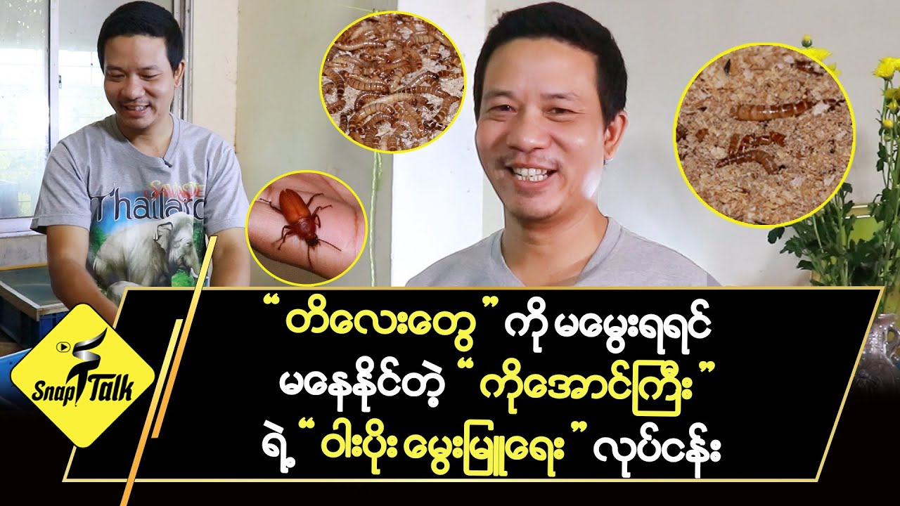 တိလေးတွေ မ‌မွေးရမနေနိုင်တဲ့ 