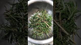 How to make Rosemary water for hair Ghr me aise banaye rosemary water Homemade Rosemary water 4 hair